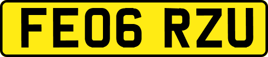 FE06RZU