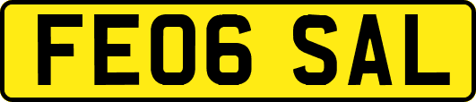 FE06SAL