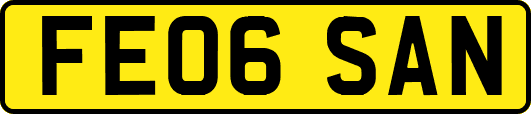 FE06SAN
