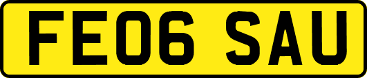 FE06SAU