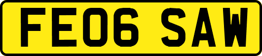 FE06SAW