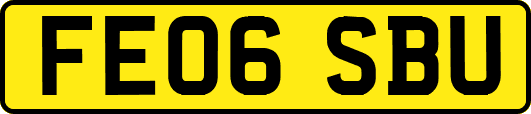 FE06SBU