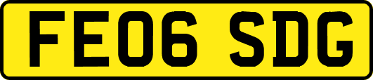 FE06SDG