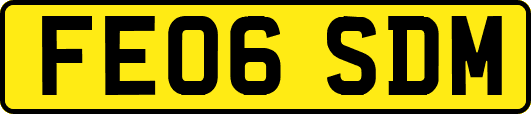 FE06SDM