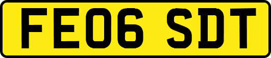 FE06SDT