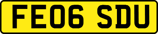 FE06SDU