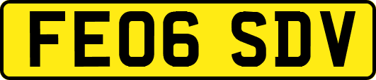 FE06SDV
