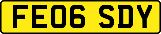 FE06SDY