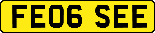 FE06SEE