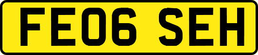 FE06SEH