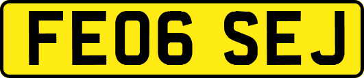 FE06SEJ