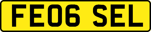 FE06SEL