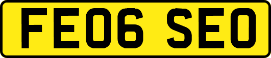 FE06SEO
