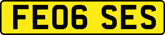 FE06SES