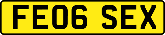 FE06SEX