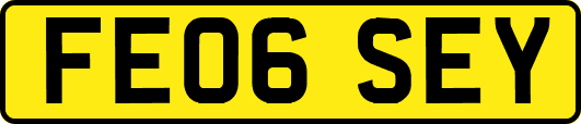 FE06SEY