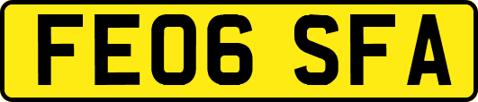 FE06SFA
