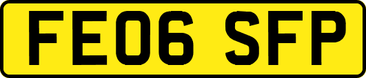 FE06SFP