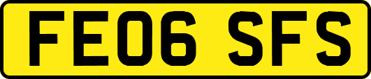 FE06SFS