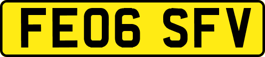 FE06SFV