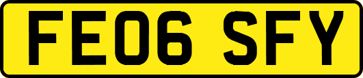 FE06SFY