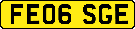 FE06SGE