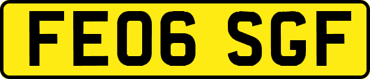 FE06SGF
