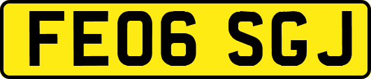 FE06SGJ