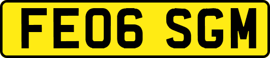 FE06SGM
