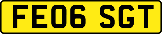 FE06SGT