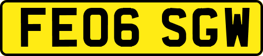 FE06SGW