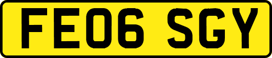FE06SGY