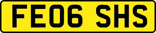 FE06SHS