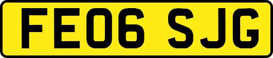 FE06SJG