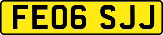 FE06SJJ