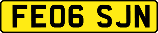FE06SJN