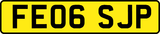 FE06SJP