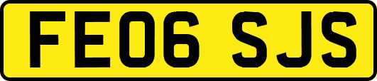 FE06SJS
