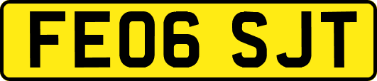 FE06SJT