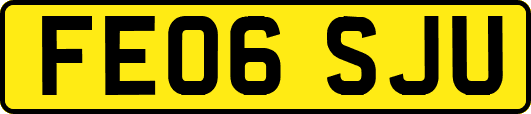 FE06SJU