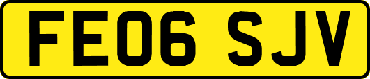 FE06SJV