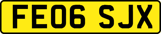 FE06SJX