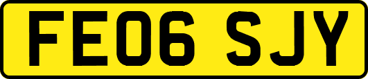 FE06SJY