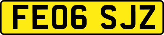 FE06SJZ