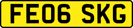 FE06SKG