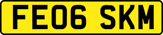 FE06SKM