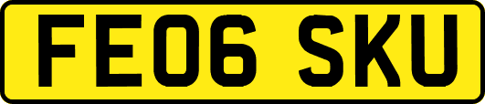 FE06SKU
