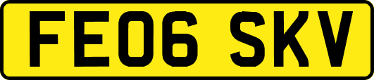 FE06SKV
