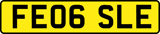 FE06SLE