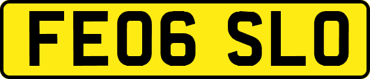 FE06SLO